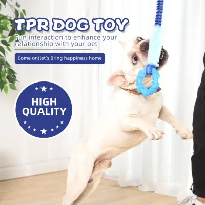 Giocattolo per animali domestici Serie di corde elastiche Giocattolo per corde per cani Bungee Chaser Tug Toy